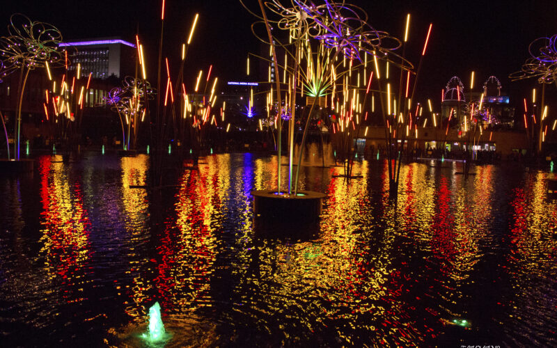 FESTIVAL OF LIGHT
