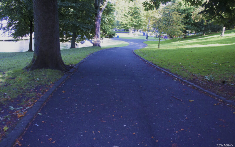 PATH(WAY)